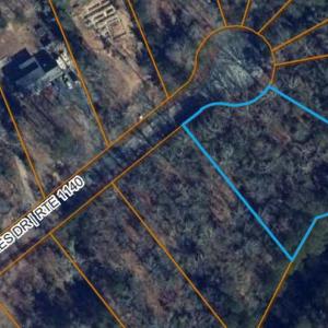 Photo #7 of #12 WILSONIA SHORES DR, MACHIPONGO, VA 1.0 acres
