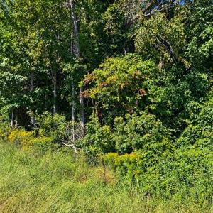 Photo #2 of LANKFORD HWY, ACCOMAC, VA 5.4 acres