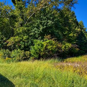 Photo #3 of LANKFORD HWY, ACCOMAC, VA 5.4 acres