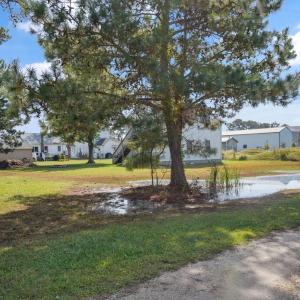 Photo #4 of Lot 19 FAWN LANE, CHINCOTEAGUE, VA 0.1 acres