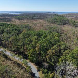 Photo #10 of LOT 42 PARKERS LANDING, PARKSLEY, VA 30.0 acres