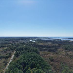 Photo #11 of LOT 42 PARKERS LANDING, PARKSLEY, VA 30.0 acres