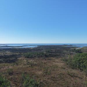 Photo #14 of LOT 42 PARKERS LANDING, PARKSLEY, VA 30.0 acres