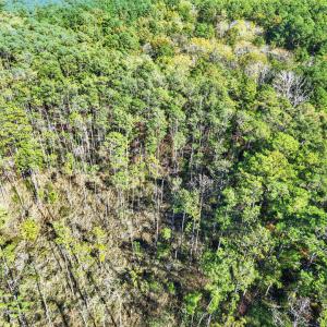 Photo #2 of LOT 42 PARKERS LANDING, PARKSLEY, VA 30.0 acres