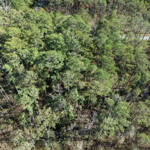 Photo #21 of LOT 42 PARKERS LANDING, PARKSLEY, VA 30.0 acres