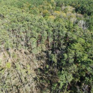 Photo #22 of LOT 42 PARKERS LANDING, PARKSLEY, VA 30.0 acres