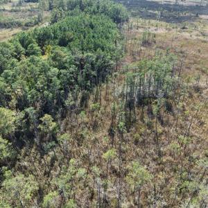 Photo #23 of LOT 42 PARKERS LANDING, PARKSLEY, VA 30.0 acres