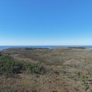 Photo #25 of LOT 42 PARKERS LANDING, PARKSLEY, VA 30.0 acres