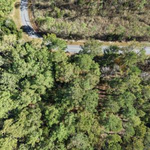 Photo #26 of LOT 42 PARKERS LANDING, PARKSLEY, VA 30.0 acres