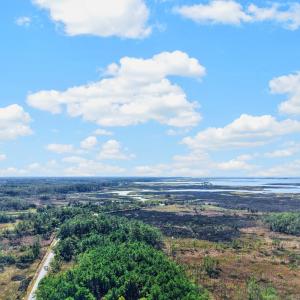 Photo #4 of LOT 42 PARKERS LANDING, PARKSLEY, VA 30.0 acres
