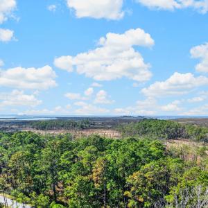 Photo #5 of LOT 42 PARKERS LANDING, PARKSLEY, VA 30.0 acres