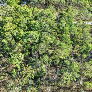 Photo #8 of LOT 42 PARKERS LANDING, PARKSLEY, VA 30.0 acres