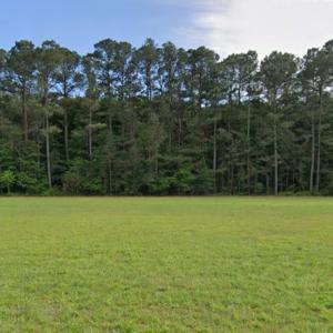 Photo #2 of Lot 61 SAXIS RD, SAXIS, VA 3.0 acres