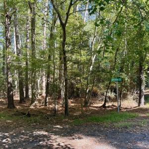 Photo #10 of Lot 551 SKIPPER CT, GREENBACKVILLE, VA 0.3 acres