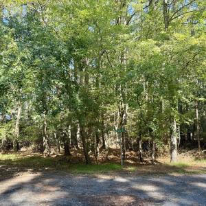 Photo #11 of Lot 551 SKIPPER CT, GREENBACKVILLE, VA 0.3 acres