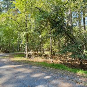 Photo #2 of Lot 551 SKIPPER CT, GREENBACKVILLE, VA 0.3 acres