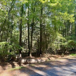 Photo #3 of Lot 551 SKIPPER CT, GREENBACKVILLE, VA 0.3 acres