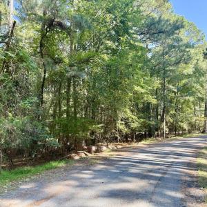 Photo #4 of Lot 551 SKIPPER CT, GREENBACKVILLE, VA 0.3 acres