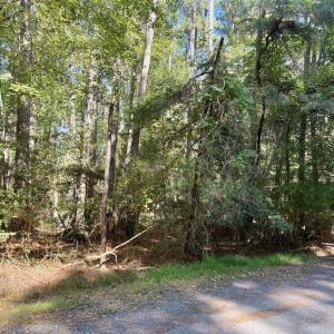 Photo #5 of Lot 551 SKIPPER CT, GREENBACKVILLE, VA 0.3 acres
