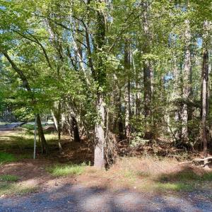 Photo #6 of Lot 551 SKIPPER CT, GREENBACKVILLE, VA 0.3 acres