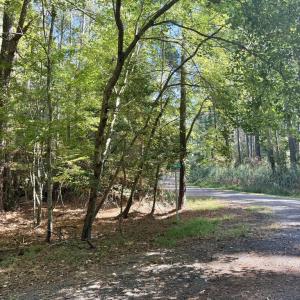 Photo #7 of Lot 551 SKIPPER CT, GREENBACKVILLE, VA 0.3 acres