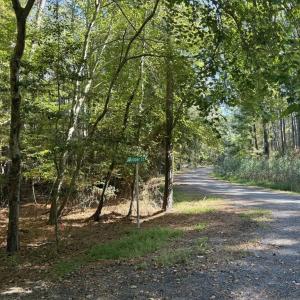 Photo #8 of Lot 551 SKIPPER CT, GREENBACKVILLE, VA 0.3 acres
