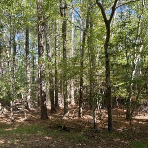 Photo #9 of Lot 551 SKIPPER CT, GREENBACKVILLE, VA 0.3 acres