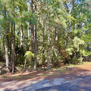 Photo #10 of Lot 552 CAPE HORN CT, GREENBACKVILLE, VA 0.3 acres
