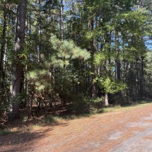 Photo #11 of Lot 552 CAPE HORN CT, GREENBACKVILLE, VA 0.3 acres