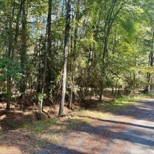 Photo #12 of Lot 552 CAPE HORN CT, GREENBACKVILLE, VA 0.3 acres