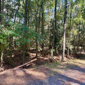 Photo #13 of Lot 552 CAPE HORN CT, GREENBACKVILLE, VA 0.3 acres