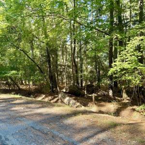 Photo #2 of Lot 552 CAPE HORN CT, GREENBACKVILLE, VA 0.3 acres