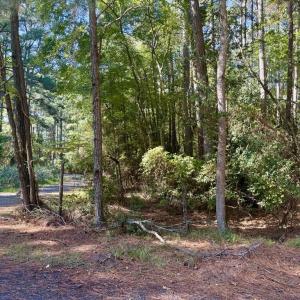 Photo #3 of Lot 552 CAPE HORN CT, GREENBACKVILLE, VA 0.3 acres