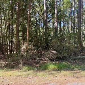Photo #4 of Lot 552 CAPE HORN CT, GREENBACKVILLE, VA 0.3 acres