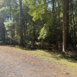 Photo #5 of Lot 552 CAPE HORN CT, GREENBACKVILLE, VA 0.3 acres