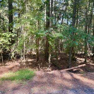 Photo #6 of Lot 552 CAPE HORN CT, GREENBACKVILLE, VA 0.3 acres