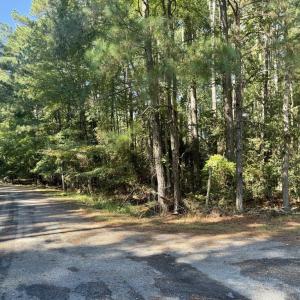 Photo #7 of Lot 552 CAPE HORN CT, GREENBACKVILLE, VA 0.3 acres