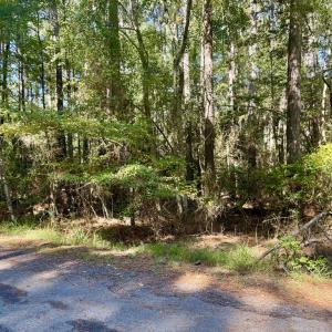 Photo #8 of Lot 552 CAPE HORN CT, GREENBACKVILLE, VA 0.3 acres