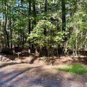Photo #9 of Lot 552 CAPE HORN CT, GREENBACKVILLE, VA 0.3 acres
