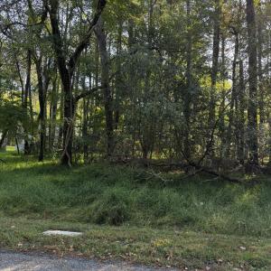 Photo #3 of Lot 232 SMUGGLERS WAY, GREENBACKVILLE, VA 0.2 acres