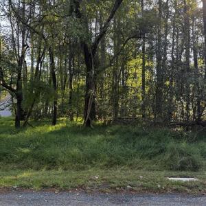 Photo #4 of Lot 232 SMUGGLERS WAY, GREENBACKVILLE, VA 0.2 acres