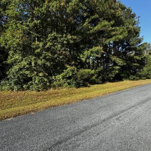 Photo #3 of Lot 247 SMUGGLERS WAY, GREENBACKVILLE, VA 0.2 acres