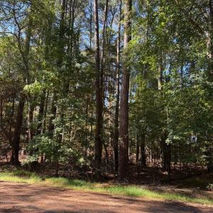 Photo #2 of Lot 485 DRY DOCK CT, GREENBACKVILLE, VA 9,939.0 acres