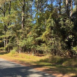 Photo #3 of Lot 485 DRY DOCK CT, GREENBACKVILLE, VA 9,939.0 acres