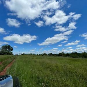 Photo #3 of 0 LAWSON LANE, CULPEPER, VA 168.5 acres