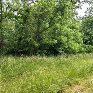 Photo #1 of MAIN ST, MARSHALL, VA 0.9 acres