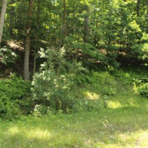 Photo #1 of NETHERS, SPERRYVILLE, VA 3.6 acres