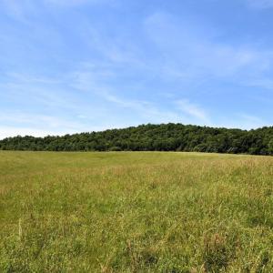 Photo #4 of SLATE MILLS ROAD, SPERRYVILLE, VA 100.2 acres