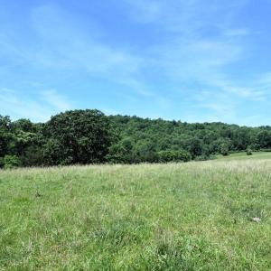 Photo #3 of SLATE MILLS ROAD, SPERRYVILLE, VA 100.2 acres