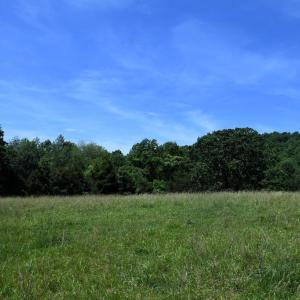 Photo #5 of SLATE MILLS ROAD, SPERRYVILLE, VA 100.2 acres